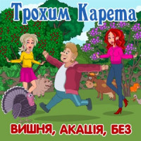 Ты поселилась у душі
